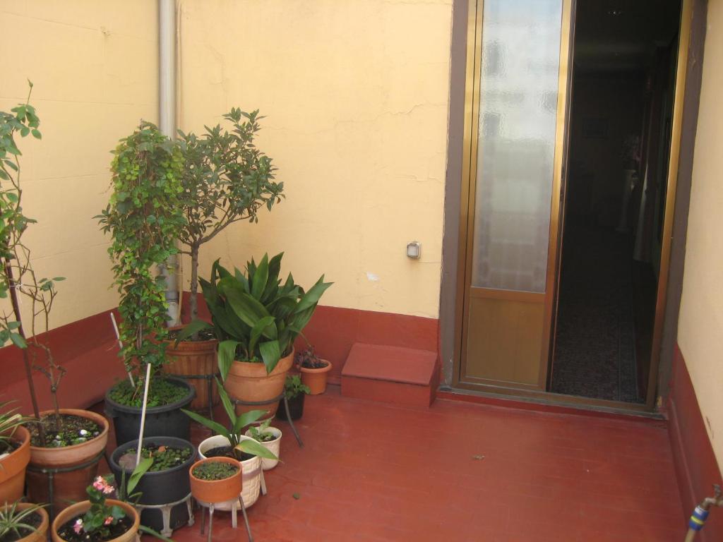 Hostal La Selecta Μαδρίτη Εξωτερικό φωτογραφία